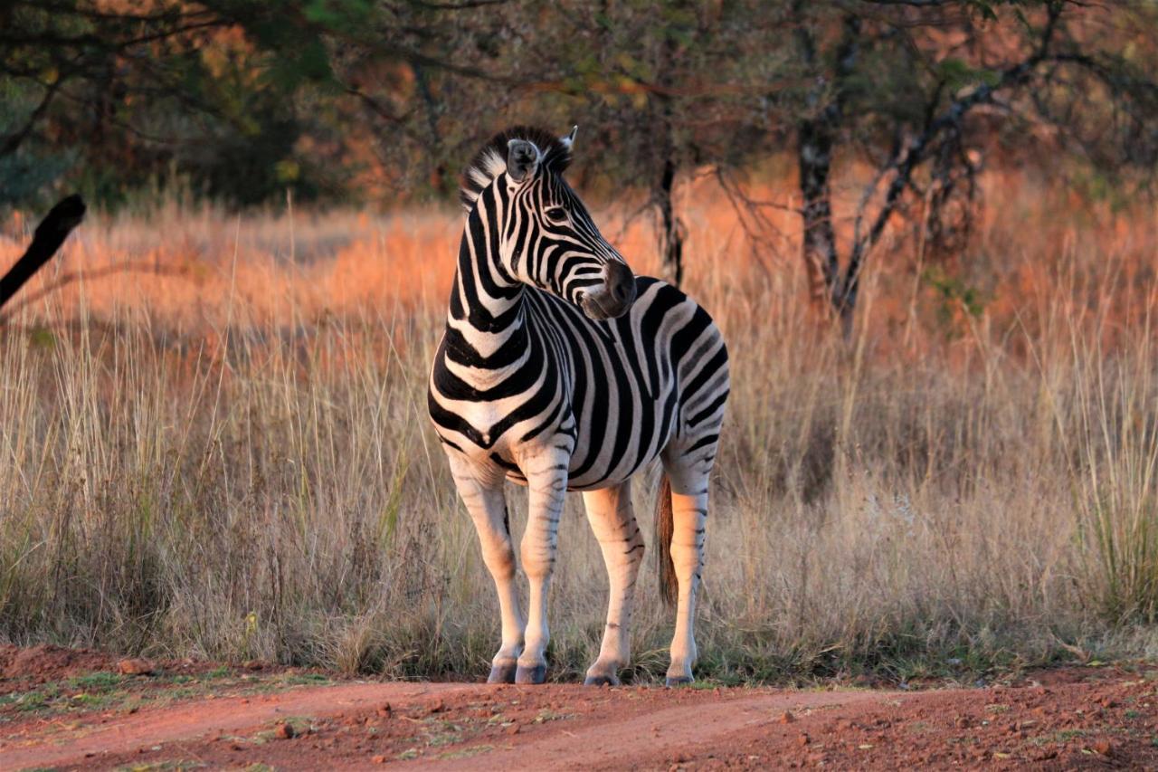 Bass Lake Country Lodge Pretoria-Noord Buitenkant foto