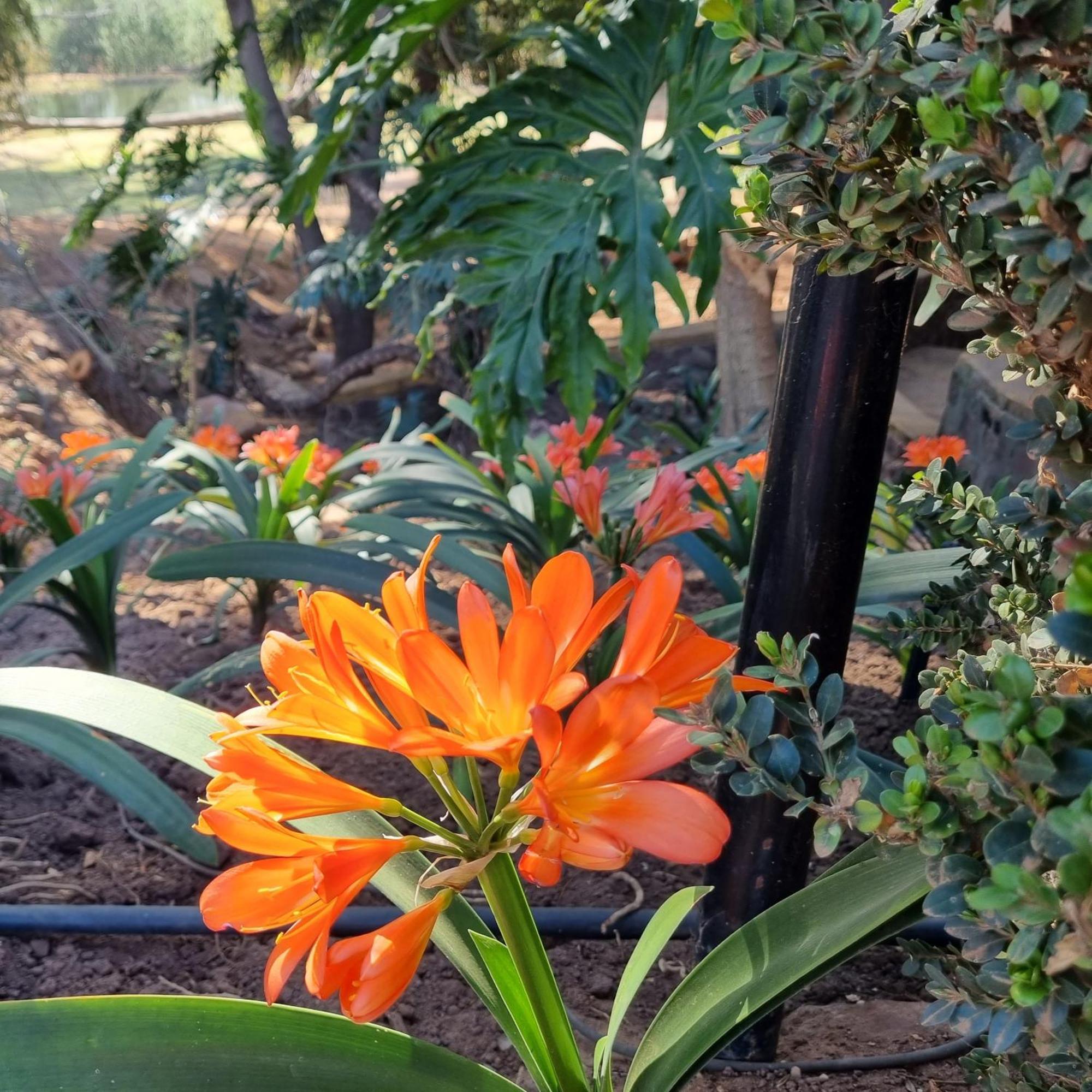 Bass Lake Country Lodge Pretoria-Noord Buitenkant foto